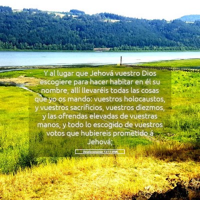 Picture 05 - Deuteronomio 12:11 RVA - Y al lugar que Jehová vuestro Dios escogiere - Bible Verse Picture