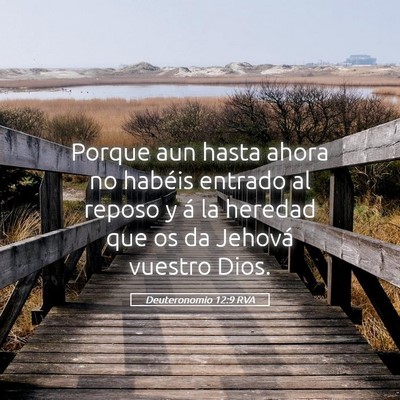 Picture 05 - Deuteronomio 12:9 RVA - Porque aun hasta ahora no habéis entrado al - Bible Verse Picture