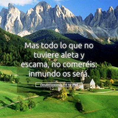 Picture 05 - Deuteronomio 14:10 RVA - Mas todo lo que no tuviere aleta y escama, no - Bible Verse Picture