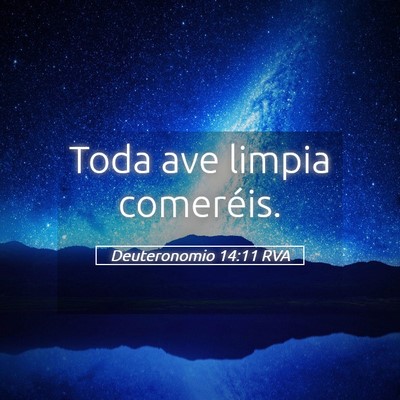Picture 05 - Deuteronomio 14:11 RVA - Toda ave limpia - Bible Verse Picture