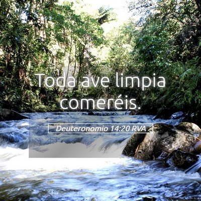 Picture 05 - Deuteronomio 14:20 RVA - Toda ave limpia - Bible Verse Picture