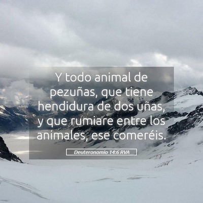 Picture 05 - Deuteronomio 14:6 RVA - Y todo animal de pezuñas, que tiene hendidura de - Bible Verse Picture