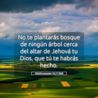 Picture 05 - Deuteronomio 16:21 RVA - No te plantarás bosque de ningún árbol cerca - Bible Verse Picture
