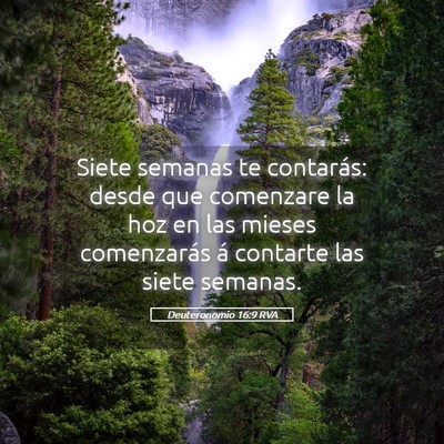 Picture 05 - Deuteronomio 16:9 RVA - Siete semanas te contarás: desde que comenzare - Bible Verse Picture