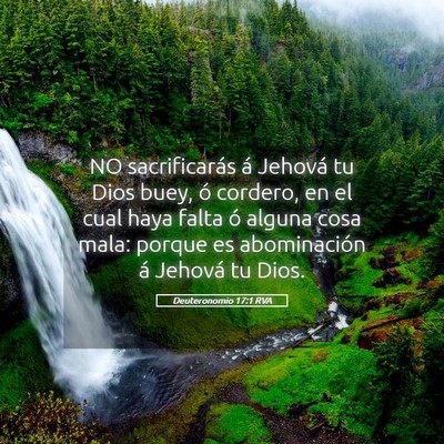 Picture 05 - Deuteronomio 17:1 RVA - NO sacrificarás á Jehová tu Dios buey, ó - Bible Verse Picture