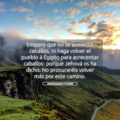 Picture 05 - Deuteronomio 17:16 RVA - Empero que no se aumente caballos, ni haga volver - Bible Verse Picture