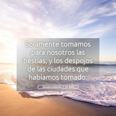 Picture 05 - Deuteronomio 2:35 RVA - Solamente tomamos para nosotros las bestias, y - Bible Verse Picture