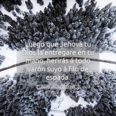 Picture 05 - Deuteronomio 20:13 RVA - Luego que Jehová tu Dios la entregare en tu - Bible Verse Picture