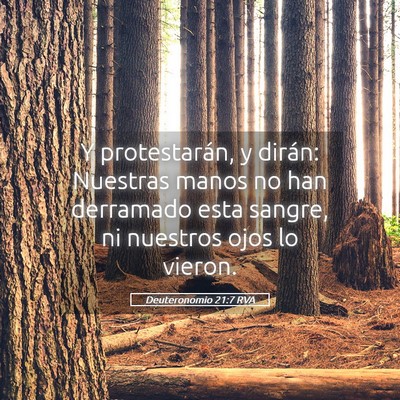 Picture 05 - Deuteronomio 21:7 RVA - Y protestarán, y dirán: Nuestras manos no han - Bible Verse Picture