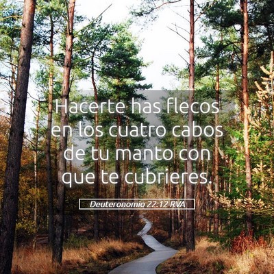 Picture 05 - Deuteronomio 22:12 RVA - Hacerte has flecos en los cuatro cabos de tu - Bible Verse Picture