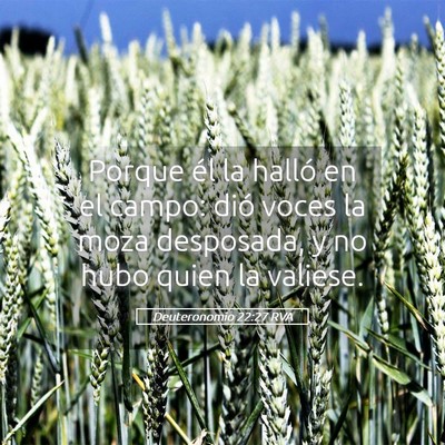 Picture 05 - Deuteronomio 22:27 RVA - Porque él la halló en el campo: dió voces la - Bible Verse Picture