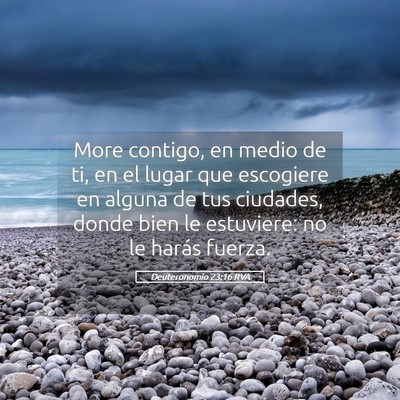 Picture 05 - Deuteronomio 23:16 RVA - More contigo, en medio de ti, en el lugar que - Bible Verse Picture