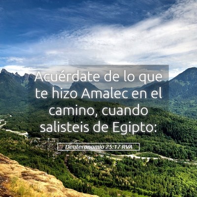 Picture 05 - Deuteronomio 25:17 RVA - Acuérdate de lo que te hizo Amalec en el camino, - Bible Verse Picture