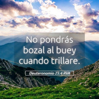 Picture 05 - Deuteronomio 25:4 RVA - No pondrás bozal al buey cuando - Bible Verse Picture