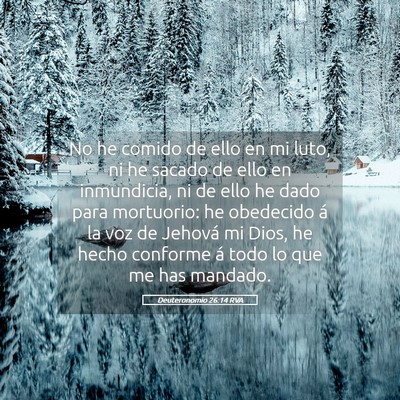 Picture 05 - Deuteronomio 26:14 RVA - No he comido de ello en mi luto, ni he sacado de - Bible Verse Picture
