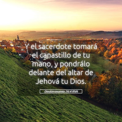 Picture 05 - Deuteronomio 26:4 RVA - Y el sacerdote tomará el canastillo de tu mano, - Bible Verse Picture