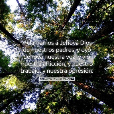 Picture 05 - Deuteronomio 26:7 RVA - Y clamamos á Jehová Dios de nuestros padres; y - Bible Verse Picture