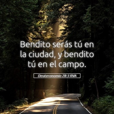 Picture 05 - Deuteronomio 28:3 RVA - Bendito serás tú en la ciudad, y bendito tú en - Bible Verse Picture
