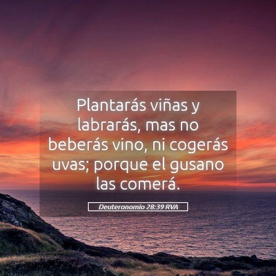 Picture 05 - Deuteronomio 28:39 RVA - Plantarás viñas y labrarás, mas no beberás - Bible Verse Picture