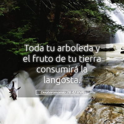 Picture 05 - Deuteronomio 28:42 RVA - Toda tu arboleda y el fruto de tu tierra - Bible Verse Picture