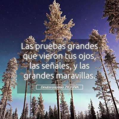 Picture 05 - Deuteronomio 29:3 RVA - Las pruebas grandes que vieron tus ojos, las - Bible Verse Picture