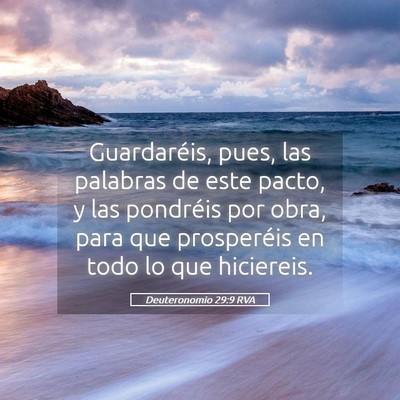 Picture 05 - Deuteronomio 29:9 RVA - Guardaréis, pues, las palabras de este pacto, y - Bible Verse Picture