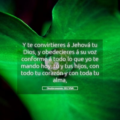 Picture 05 - Deuteronomio 30:2 RVA - Y te convirtieres á Jehová tu Dios, y - Bible Verse Picture