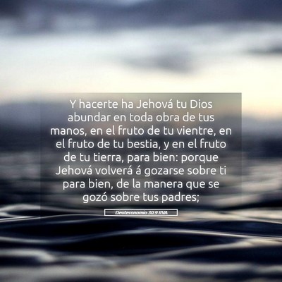 Picture 05 - Deuteronomio 30:9 RVA - Y hacerte ha Jehová tu Dios abundar en toda obra - Bible Verse Picture