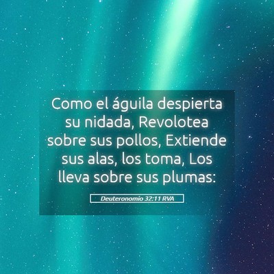 Picture 05 - Deuteronomio 32:11 RVA - Como el águila despierta su nidada, Revolotea - Bible Verse Picture