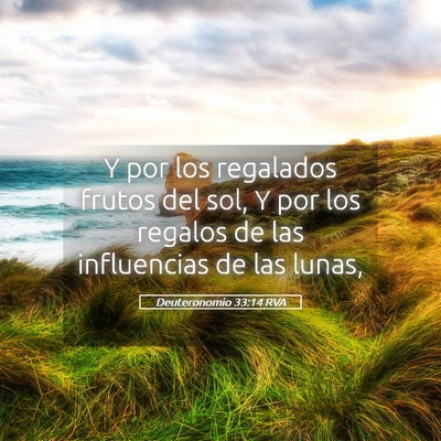 Picture 05 - Deuteronomio 33:14 RVA - Y por los regalados frutos del sol, Y por los - Bible Verse Picture