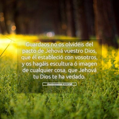 Picture 05 - Deuteronomio 4:23 RVA - Guardaos no os olvidéis del pacto de Jehová - Bible Verse Picture
