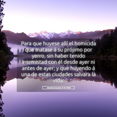 Picture 05 - Deuteronomio 4:42 RVA - Para que huyese allí el homicida que matase á - Bible Verse Picture
