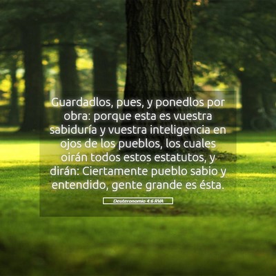 Picture 05 - Deuteronomio 4:6 RVA - Guardadlos, pues, y ponedlos por obra: porque - Bible Verse Picture