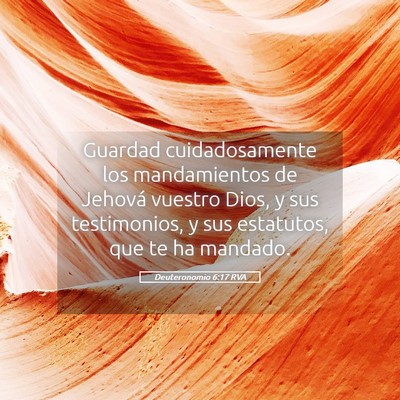 Picture 05 - Deuteronomio 6:17 RVA - Guardad cuidadosamente los mandamientos de - Bible Verse Picture