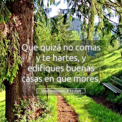 Picture 05 - Deuteronomio 8:12 RVA - Que quizá no comas y te hartes, y edifiques - Bible Verse Picture