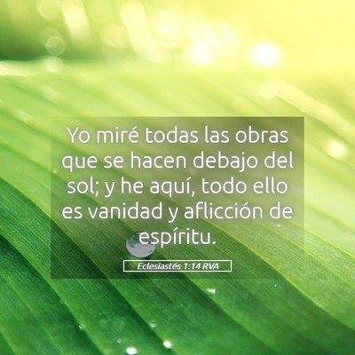 Picture 05 - Eclesiastés 1:14 RVA - Yo miré todas las obras que se hacen debajo del - Bible Verse Picture