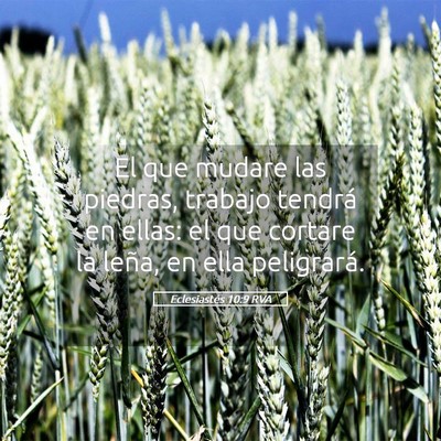Picture 05 - Eclesiastés 10:9 RVA - El que mudare las piedras, trabajo tendrá en - Bible Verse Picture