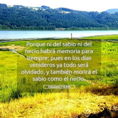 Picture 05 - Eclesiastés 2:16 RVA - Porque ni del sabio ni del necio habrá memoria - Bible Verse Picture