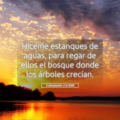 Picture 05 - Eclesiastés 2:6 RVA - Híceme estanques de aguas, para regar de ellos - Bible Verse Picture