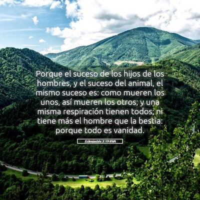 Picture 05 - Eclesiastés 3:19 RVA - Porque el suceso de los hijos de los hombres, y - Bible Verse Picture