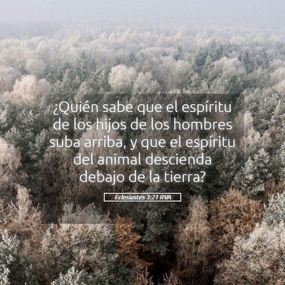 Picture 05 - Eclesiastés 3:21 RVA - ¿Quién sabe que el espíritu de los hijos de - Bible Verse Picture