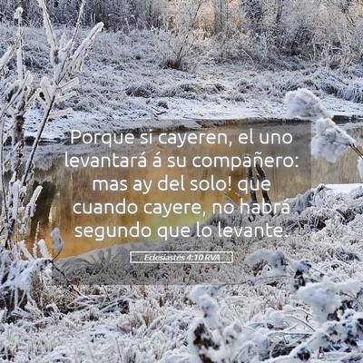 Picture 05 - Eclesiastés 4:10 RVA - Porque si cayeren, el uno levantará á su - Bible Verse Picture
