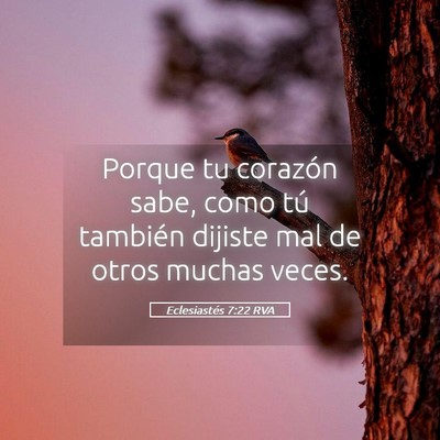 Picture 05 - Eclesiastés 7:22 RVA - Porque tu corazón sabe, como tú también - Bible Verse Picture