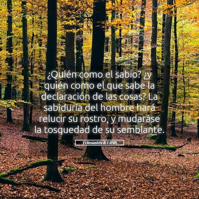 Picture 05 - Eclesiastés 8:1 RVA - ¿Quién como el sabio? ¿y quién como el que - Bible Verse Picture