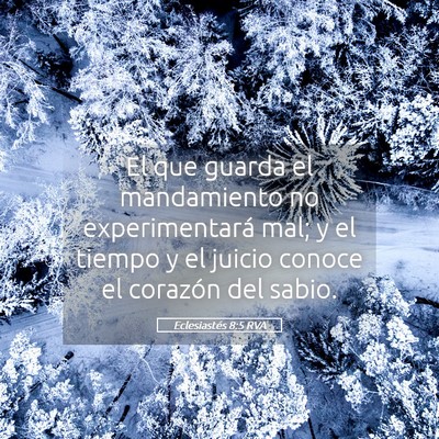 Picture 05 - Eclesiastés 8:5 RVA - El que guarda el mandamiento no experimentará - Bible Verse Picture