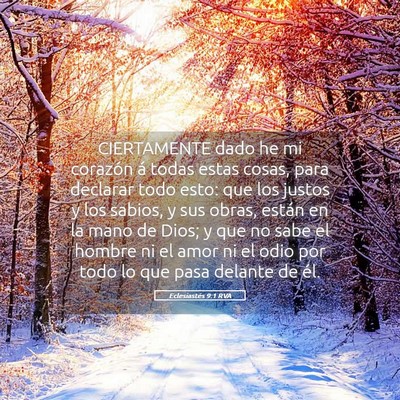 Picture 05 - Eclesiastés 9:1 RVA - CIERTAMENTE dado he mi corazón á todas estas - Bible Verse Picture