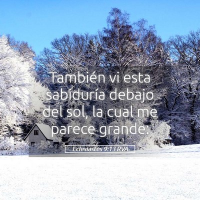 Picture 05 - Eclesiastés 9:13 RVA - También vi esta sabiduría debajo del sol, la - Bible Verse Picture