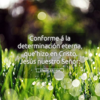 Picture 05 - Efesios 3:11 RVA - Conforme á la determinación eterna, que hizo en - Bible Verse Picture