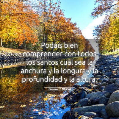 Picture 05 - Efesios 3:18 RVA - Podáis bien comprender con todos los santos - Bible Verse Picture