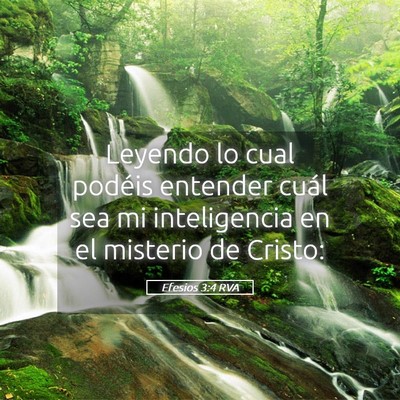 Picture 05 - Efesios 3:4 RVA - Leyendo lo cual podéis entender cuál sea mi - Bible Verse Picture